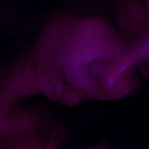 Meet your Posher, Lilly